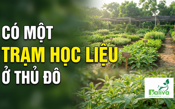Cùng sống xanh 170: Đánh thức tiềm năng dược liệu Việt từ mô hình giáo dục trải nghiệm