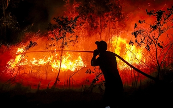 El Nino mạnh nhất vào tháng 12