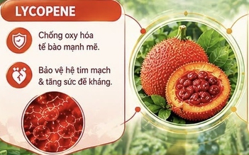 Dược chất bảo vệ tim mạch có trong quả gấc Việt Nam