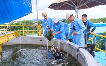 Lấy kết quả Hội thi tay nghề dầu khí vào công tác đào tạo lao động
