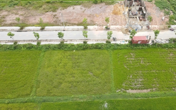 Hà Tĩnh: Đấu giá đất ế ẩm, giá khởi điểm giảm tới 2,4 tỉ đồng/lô