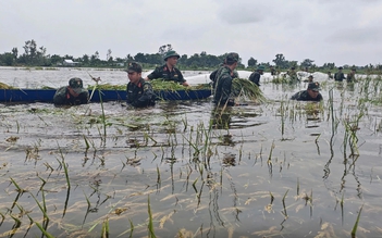 Mưa lũ bất thường, nông nghiệp thiệt hại nặng