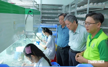Đưa công nghệ vào cây giống, nâng tầm nông sản quê nhà
