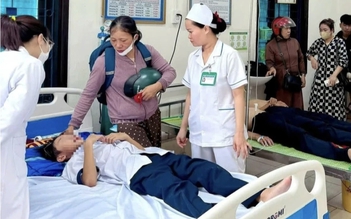 Đàn ong tấn công do bị chọc phá tổ, 27 em học sinh nhập viện