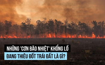 Nhiều 'cơn bão nhiệt' khổng lồ đang thiêu đốt trái đất, vì sao?