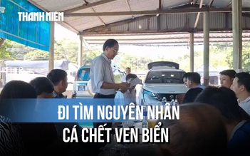 Lập đoàn kiểm tra, tìm nguyên nhân cá chết bất thường ven biển Quảng Trị