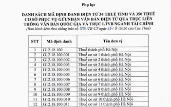 Mã định danh điện tử mới của 34 thuế tỉnh, thành phố và 350 thuế cơ sở