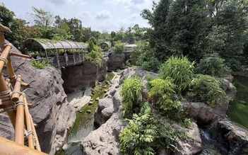 Khám phá những lý do mới để trở lại Singapore