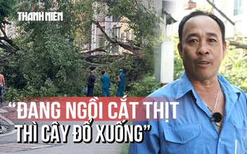 Lời kể khoảnh khắc cây lớn đổ ngang đường: 'Tôi bỏ chạy, khoảng 3 - 4 giây là cây ngã xuống'