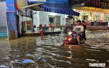 Cốt nền TP.HCM: Đang xây cho trận ngập nào?