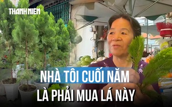 Trắc bách diệp là gì mà hút khách ngày cận Tết?