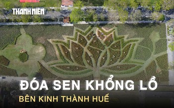 Chiêm ngưỡng đóa sen khổng lồ từ 50.000 chậu hoa rực rỡ bên kinh thành Huế