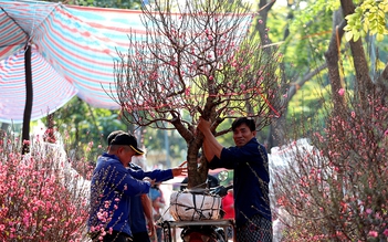 Nhà vườn chờ sức mua khởi sắc cận tết