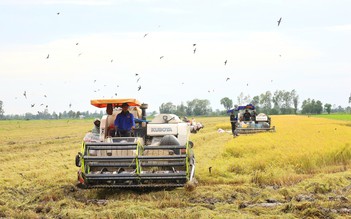 Cần Thơ thông qua chính sách hỗ trợ khôi phục sản xuất nông nghiệp sau thiên tai