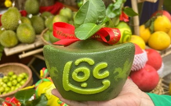 Bưởi mini thỏi vàng tài lộc 'bán bao nhiêu cũng hết' dịp tết