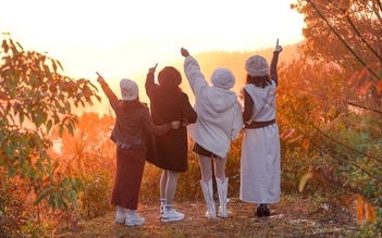 Trên những cung đường du xuân...