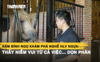 Năm Bính Ngọ khám phá nghề HLV ngựa: Thấy niềm vui từ cả việc... dọn phân