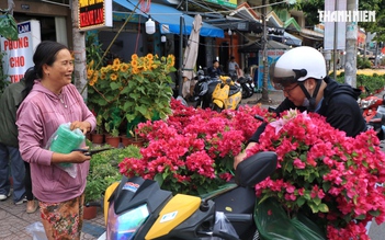 Bất ngờ hoa tết ở TP.HCM: Nhà vườn gặp khách sộp, liền lì xì ngược lại khách