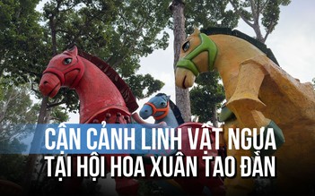 Những hình ảnh đầu tiên tại Hội hoa xuân Tao Đàn