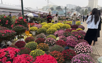 Chủ vườn hoa cây cảnh Hạ Long méo mặt vì ế ẩm