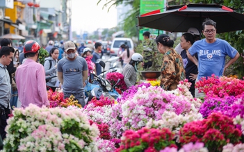 Kiêng quét nhà, kiêng vay tiền đầu năm: Phong tục tết hay mê tín?