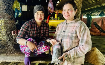 Tết về ở tổ dân cư '5 không' giữa đại ngàn Quảng Ngãi