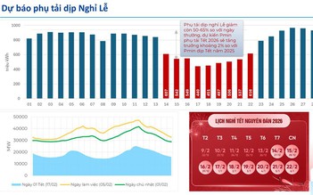 EVN sẵn sàng đảm bảo cung ứng điện trong dịp tết Nguyên đán Bính Ngọ 2026