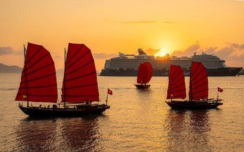 Rực rỡ ‘điểm hẹn du xuân’ bên vịnh Hạ Long