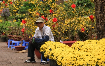 Nỗi niềm ở chợ hoa tết trung tâm TP.HCM: Kẻ khóc người cười ngày trước giao thừa