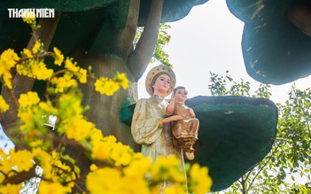 La Vang rực rỡ hoa xuân đón dòng người khắp nơi về cầu năm mới bình an