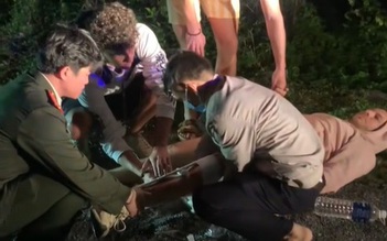 Quảng Trị: Hai du khách người Bỉ ngã xe, được chiến sĩ công an sơ cứu