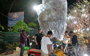 Chợ hoa tết Long Xuyên: Đại gia săn mai 'khủng', nhà vườn tranh thủ livestream