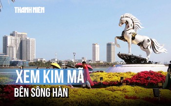 Linh vật Kim Mã hút khách, trở thành điểm 'check in' cận Tết tại Đà Nẵng