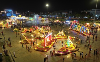 Những đường hoa xuân rực rỡ nhất 'xứ hoa' Đồng Tháp