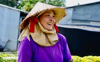 Hoa tết lỡ mùa, nông dân Chợ Lách vẫn giữ trọn chữ nghề