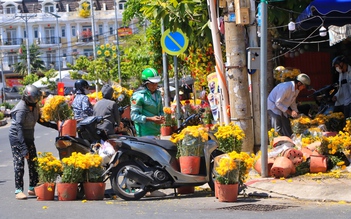 Chợ hoa tết TP.HCM trưa 29 tết: Bất ngờ xuất hiện hoa miễn phí từ nhà vườn