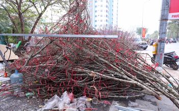 Chiều 29 tết, cành đào tiền triệu thành củi khô, chất đống trên vỉa hè Hà Nội