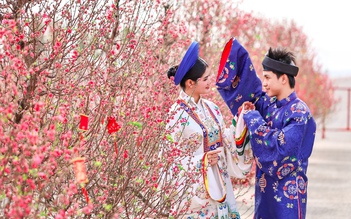 Đường hoa mai - đào lớn nhất miền Nam tại Cần Giờ nở rộ, check-in là 'auto' choáng ngợp