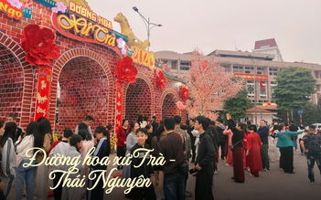 Hàng nghìn người đổ về du xuân ở đường hoa xứ Trà Thái Nguyên