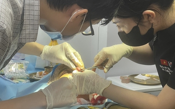 Thẩm mỹ 'chui' bủa vây: Thâm nhập lò đào tạo 'bác sĩ'