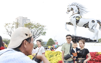 Linh vật ngựa Kim Mã 4.0 ở Đà Nẵng 'gây sốt', thợ ảnh cầu Rồng thu tiền triệu mỗi ngày
