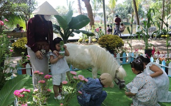 Ngựa lùn Pony thành 'ngôi sao', Trại rắn Đồng Tâm đông nghẹt khách xếp hàng chờ chụp ảnh