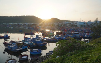 Du xuân ở Lý Sơn, có gì hấp dẫn?