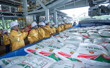 Phân bón Cà Mau xuất khẩu lô hàng đầu tiên sang Mỹ