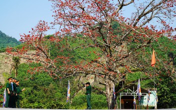 Hoa gạo đỏ rực giữa đại ngàn Trường Sơn ở ngã ba Bến Giằng