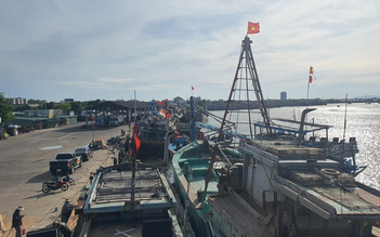 Áp dụng VNeID để quản lý đội tàu, quyết gỡ thẻ vàng