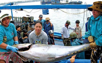 Quyết liệt gỡ 'thẻ vàng' IUU