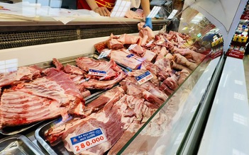 Giá heo hơi hôm nay 28.2.2026: Rút ngắn khoảng cách khu vực
