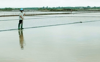 Cà Mau: Mưa trái mùa liên tục 2 ngày, hơn 9.100 tấn muối tan thành nước
