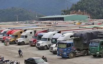 Văn phòng Chính phủ 'hỏa tốc' yêu cầu hướng  dẫn kiểm tra thực phẩm nhập khẩu trước 5.2. 